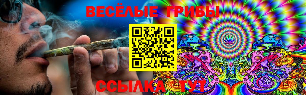 Галлюциногенные грибы Cubensis Топки