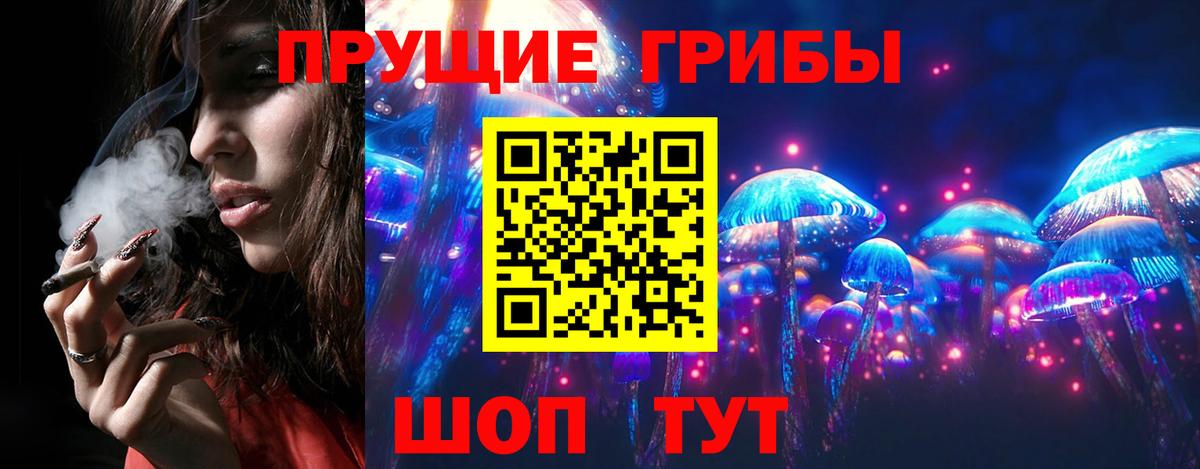 Топки  Псилоцибиновые грибы прущие грибы  Вход с VPN 